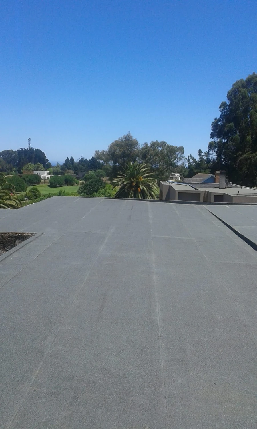La cubierta terminada, con la palmera del terreno